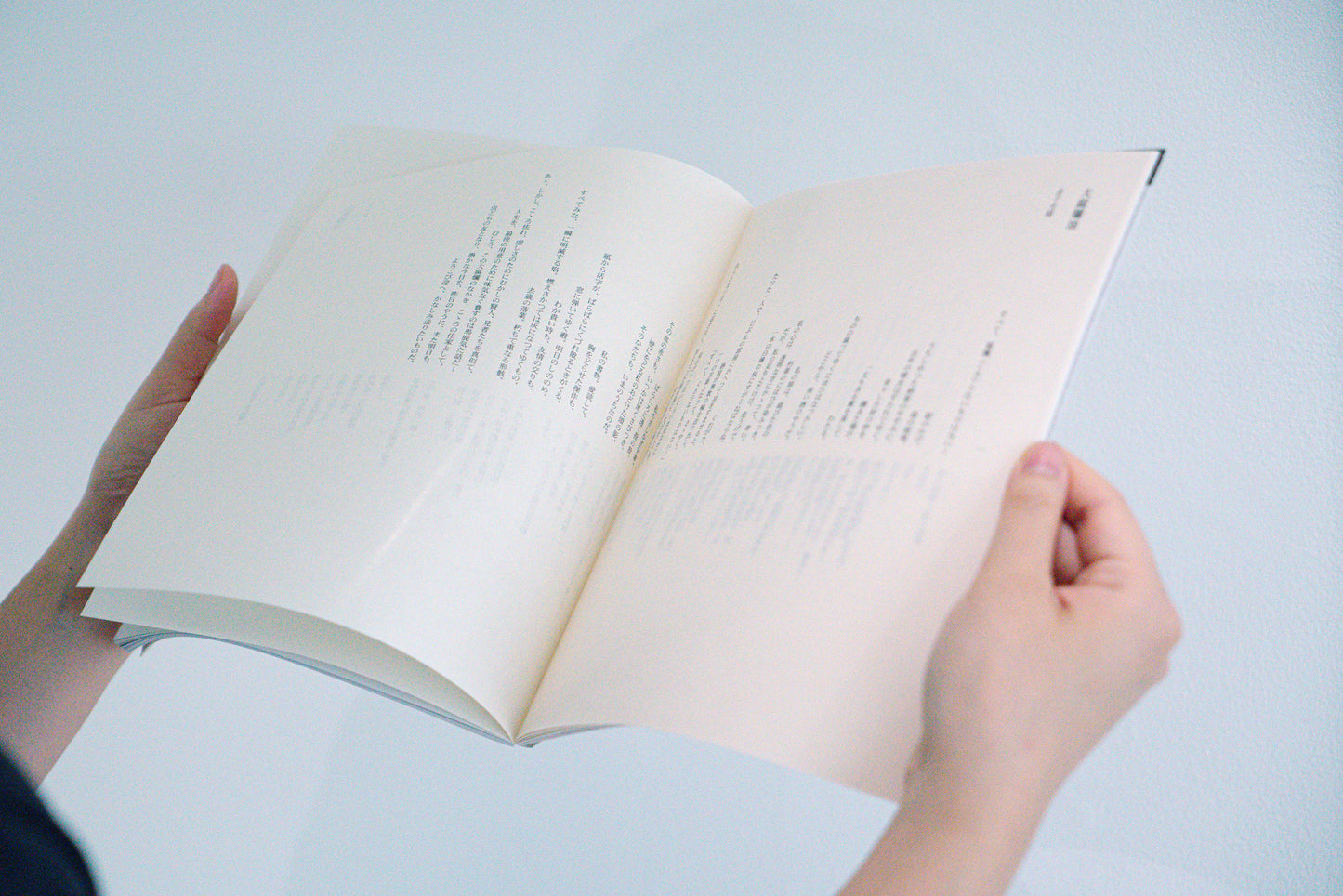 Catalogue of "Tadayoshi Nakabayashi: Transposition"