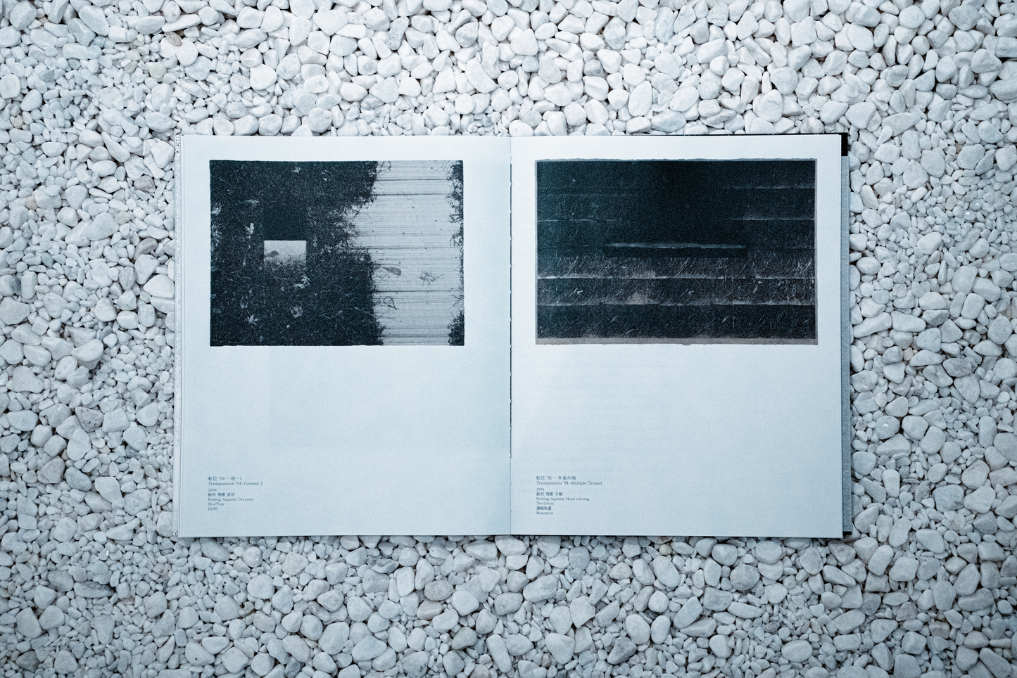 Catalogue of "Tadayoshi Nakabayashi: Transposition"